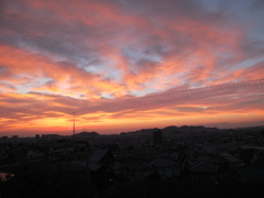 Sunglow in winter