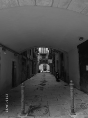 R0013519
