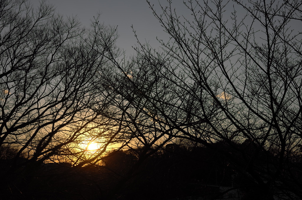 The Early Sunset in Winter
