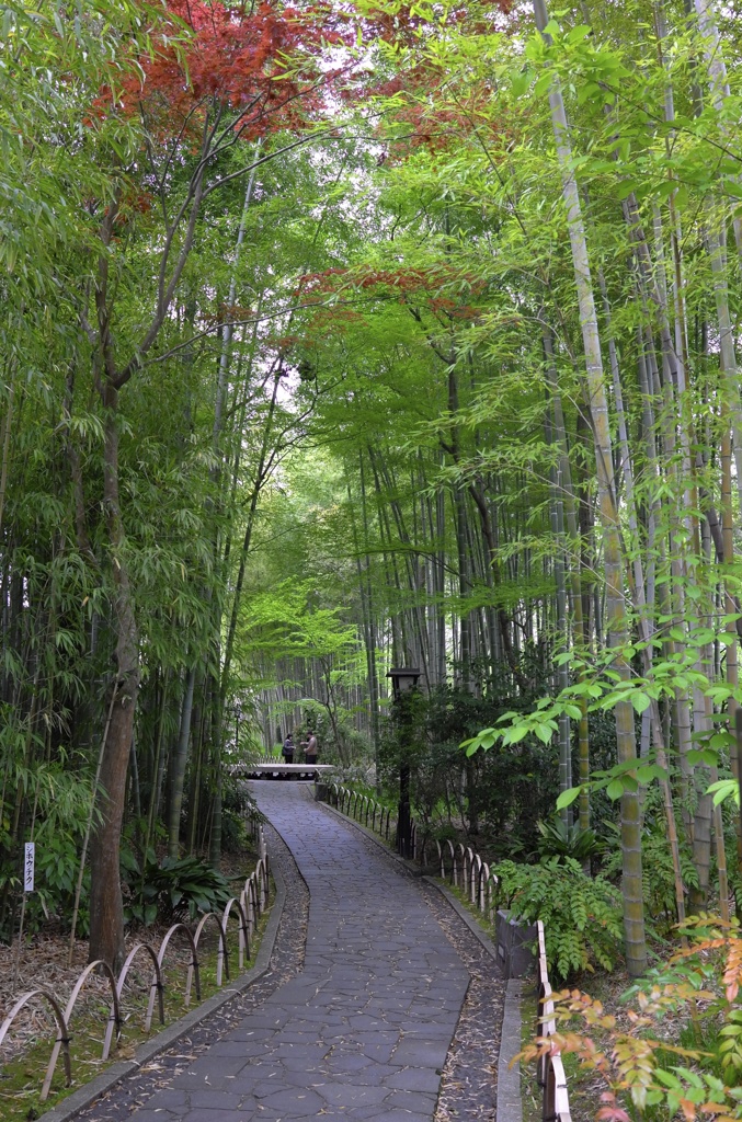 Syzenji Hot Springs