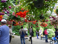 The Butchart Gardens