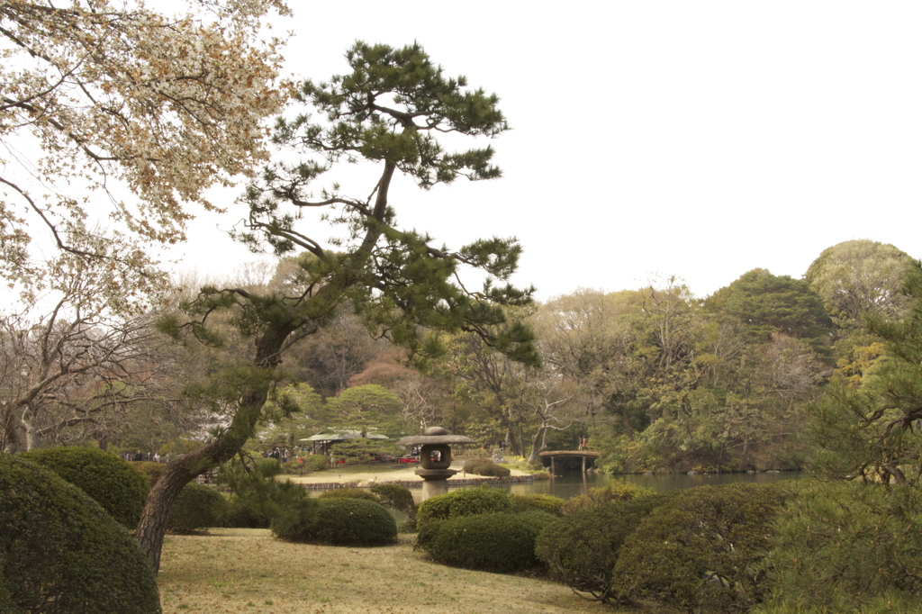 in六義園vol.1