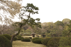 in六義園vol.1