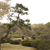 in六義園vol.1