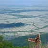 弥彦山より越後平野を望む