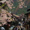 奈良井宿の桜