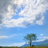 初夏の雲
