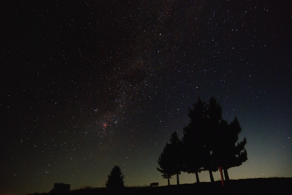 テカポの星空