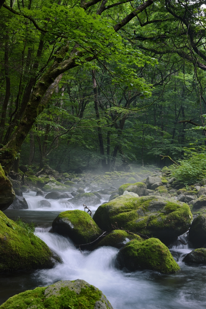 川霧