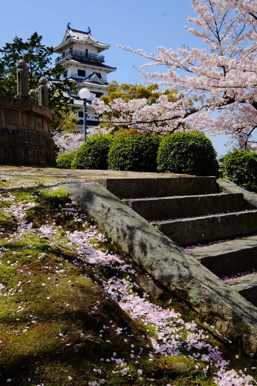 春の今治城