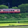 田植えの頃02