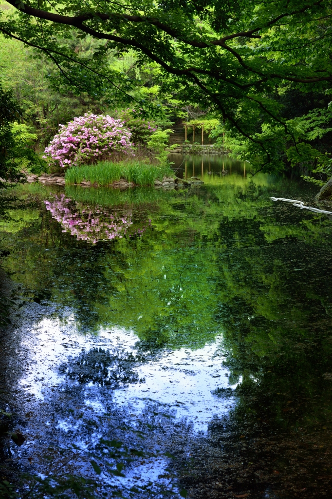 三四郎池にて