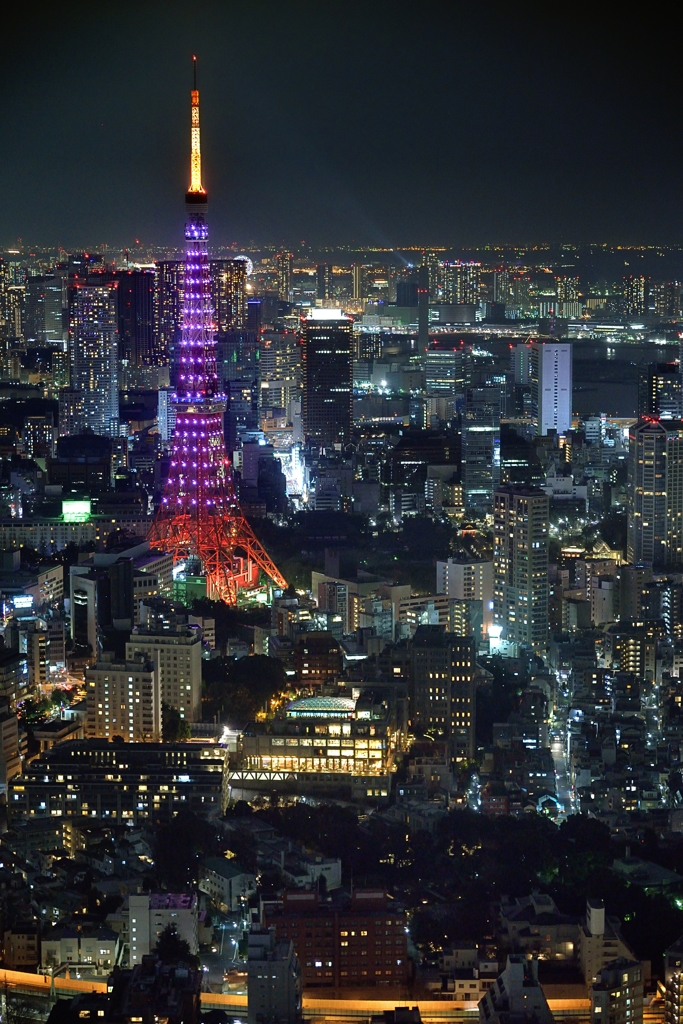 桜開花、ピンクダイヤモンドヴェール