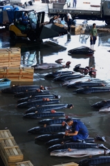 魚市場の賑わい