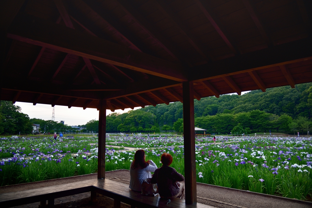 東屋にて