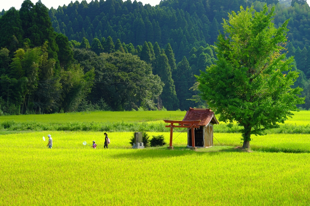 ぼくの夏休み02