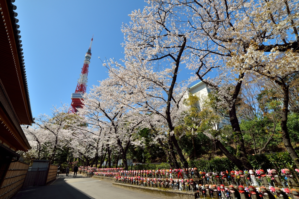 存在感は今でも…