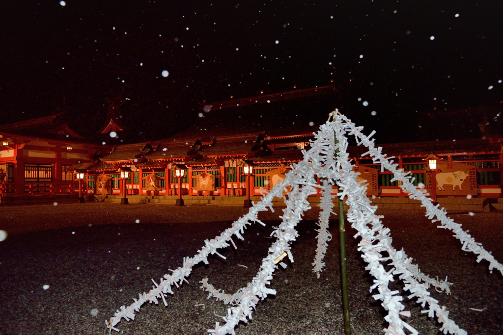 小雪舞う