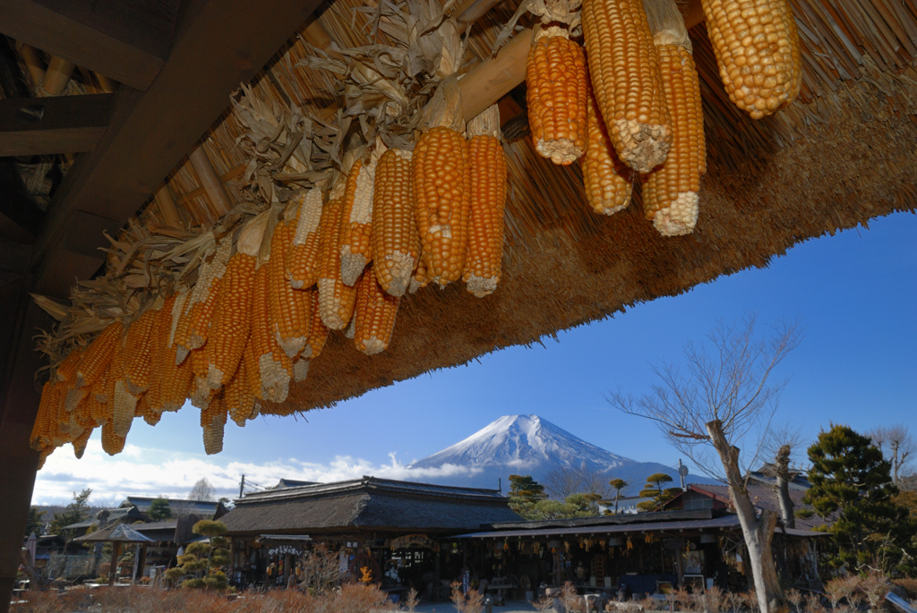 冬の忍野