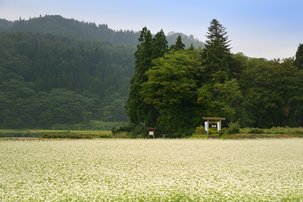 山形そば街道にて