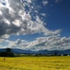 秋空