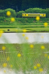 田植えの頃01