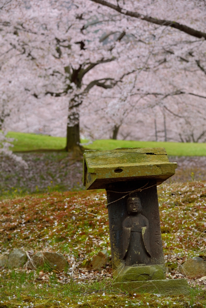 幸せ願って、春…