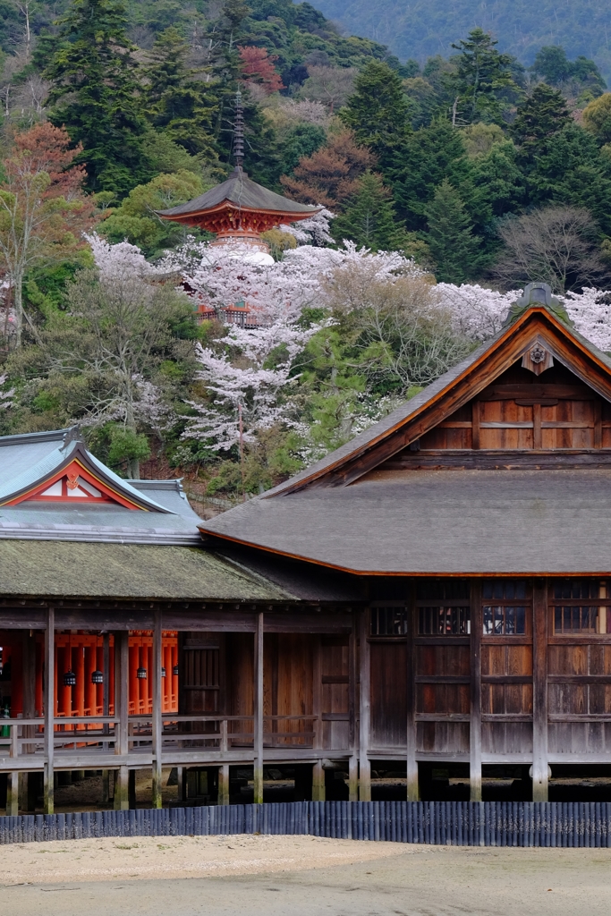 厳島神社風景