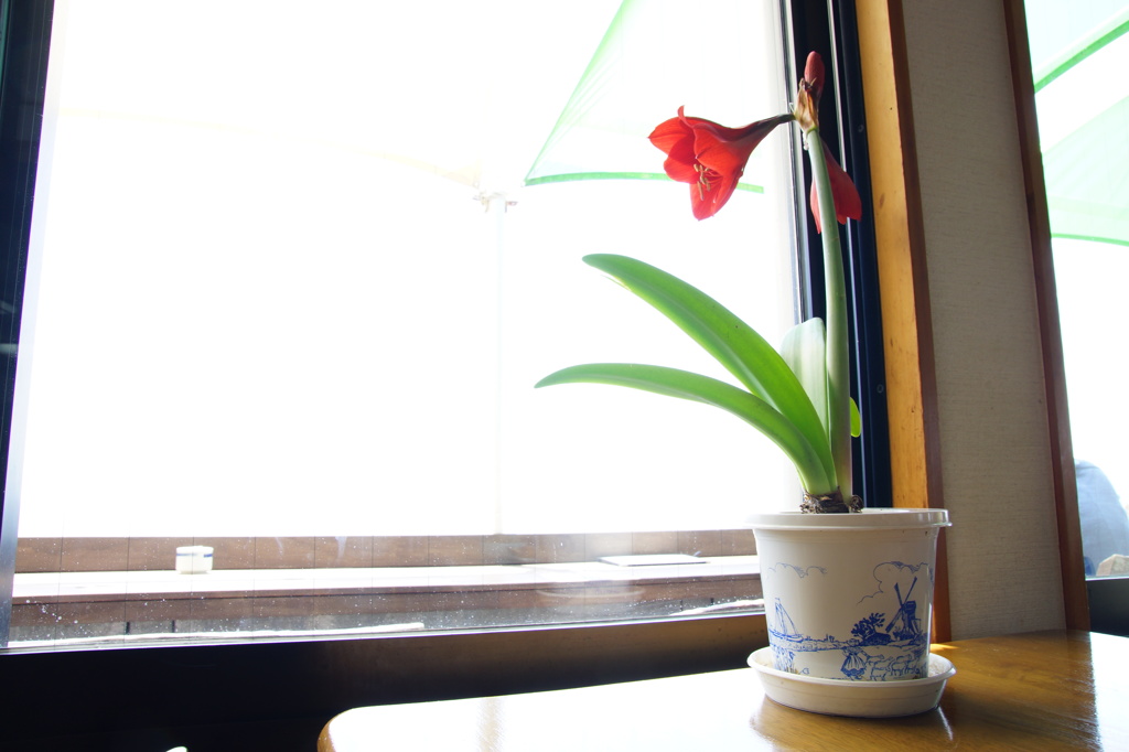 魚見亭が一番旨いと思ふ