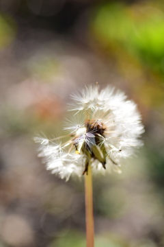 本年もあと少しですね。
