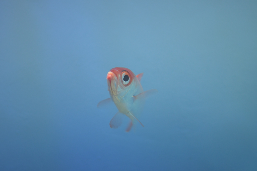 みずのいろ