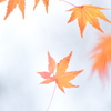 別れ