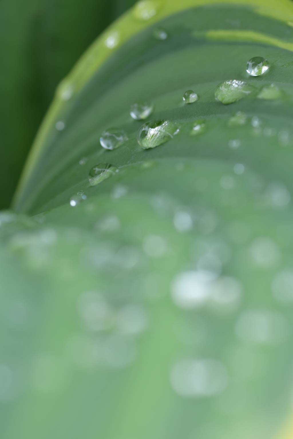 ほんの一部は上の方へ