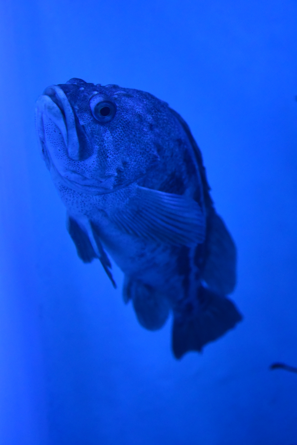 するりと上手くかわせばいい