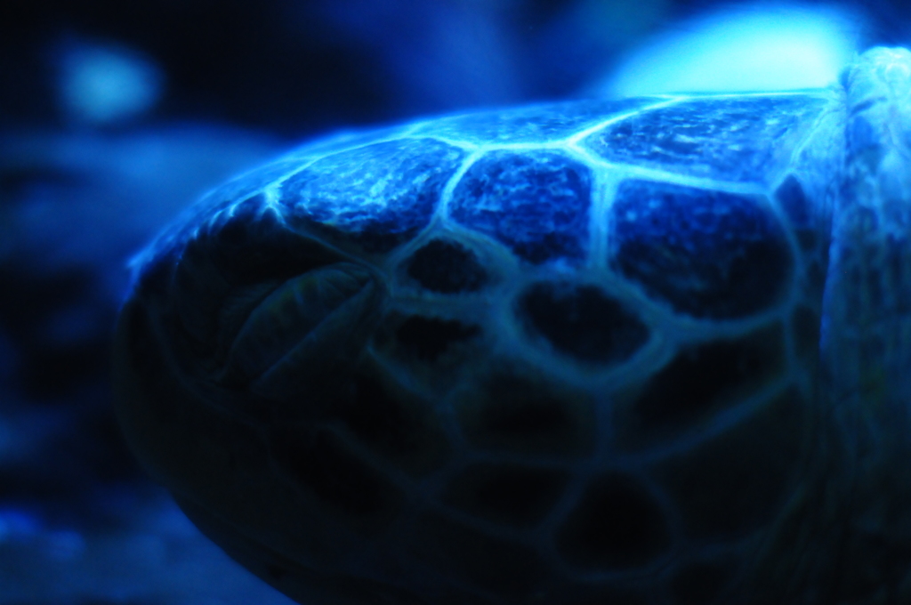 ２０１６年多老化時代を考える