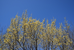 晴れがうれしい