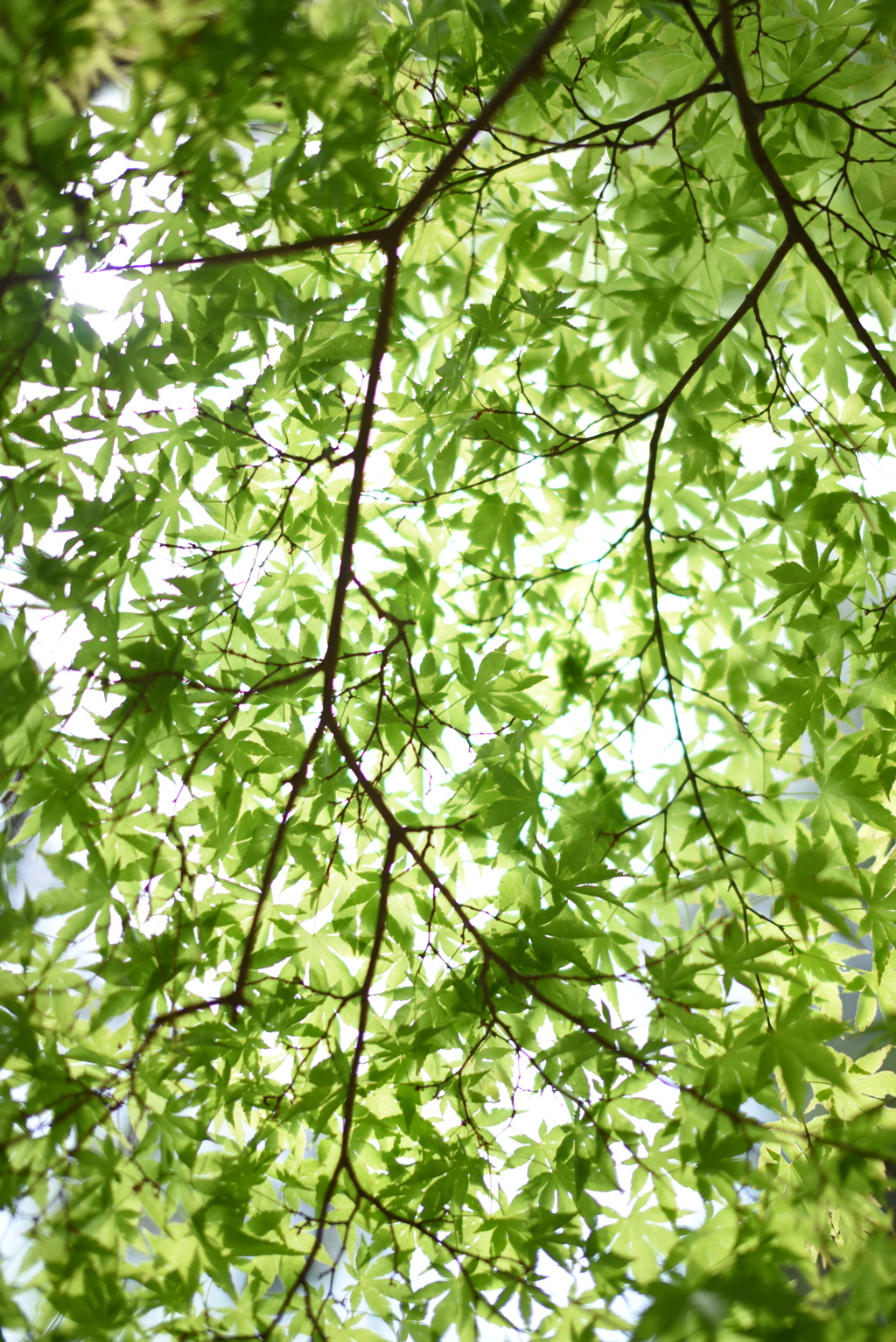 良い写真より良い撮影