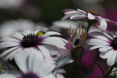 ７月の台風を待つ