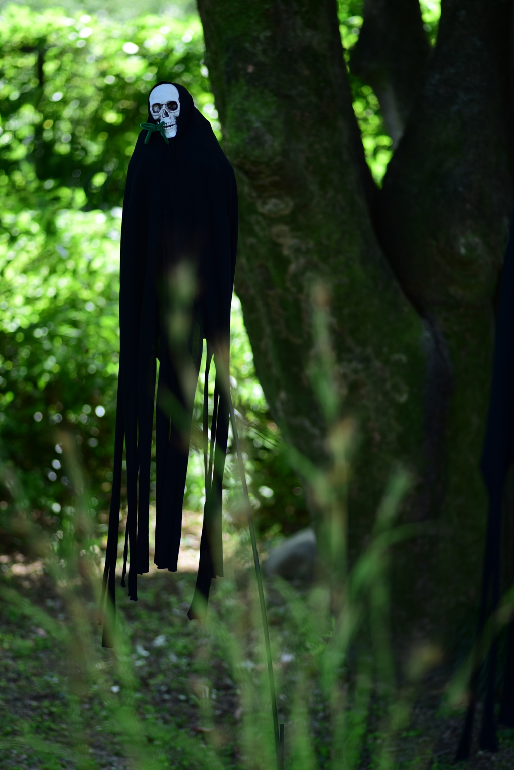 やっぱ渋谷だよね