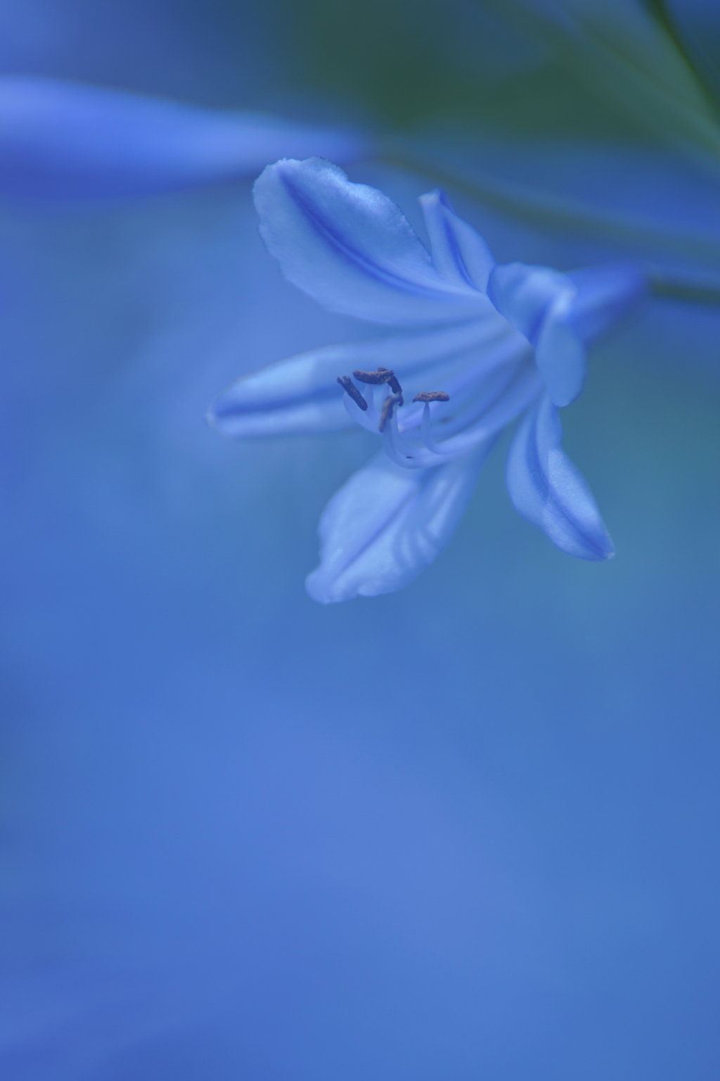 薄曇り