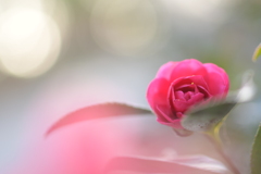 ぬるい冬を噛締めて