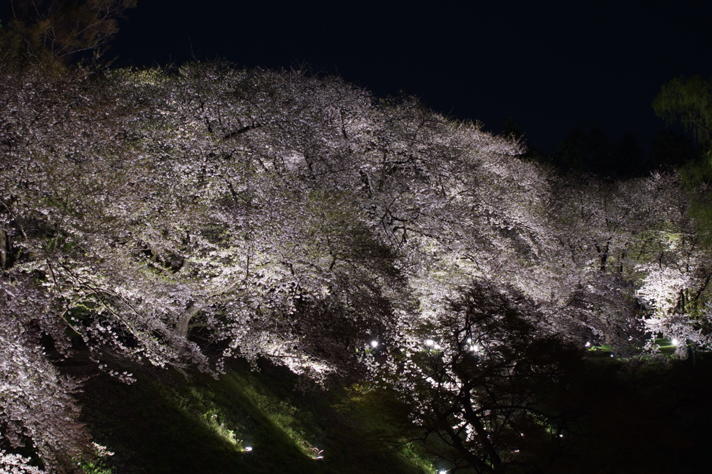春の夜