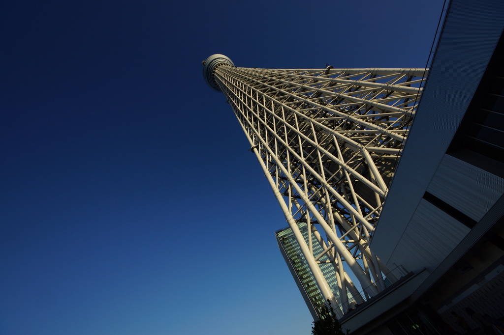 空はもっと高いけど、これも高い。