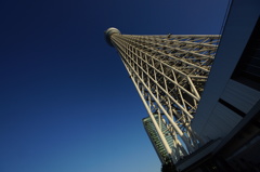 空はもっと高いけど、これも高い。