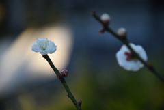 近くて遠い距離