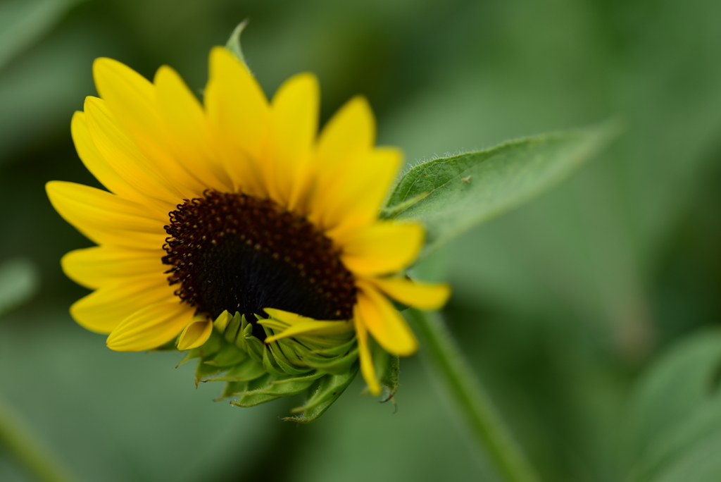 それは言えない