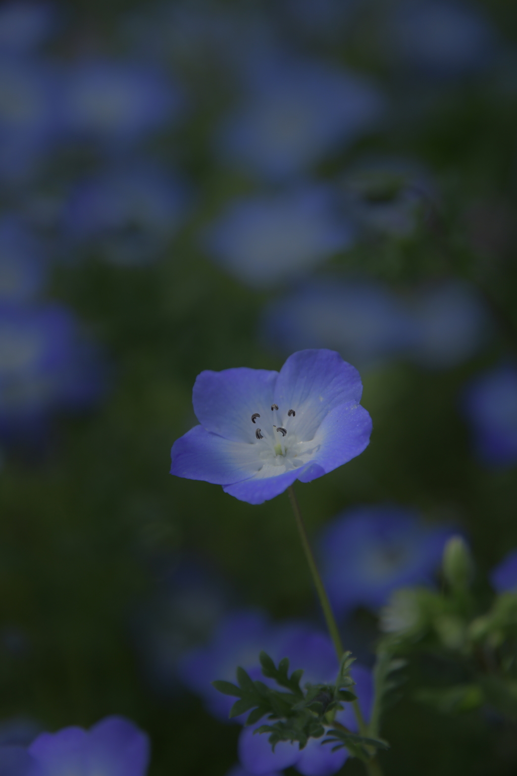 木漏れ日の中に