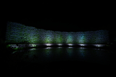 今年は虻が少ない