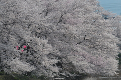 溢れる