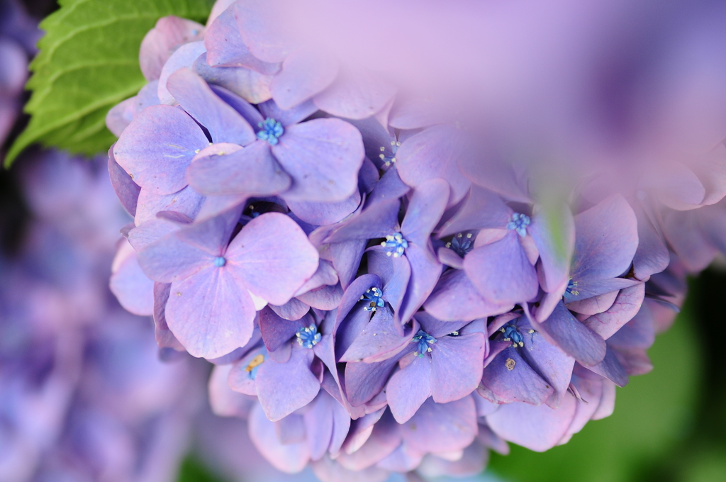 観ている人がいる